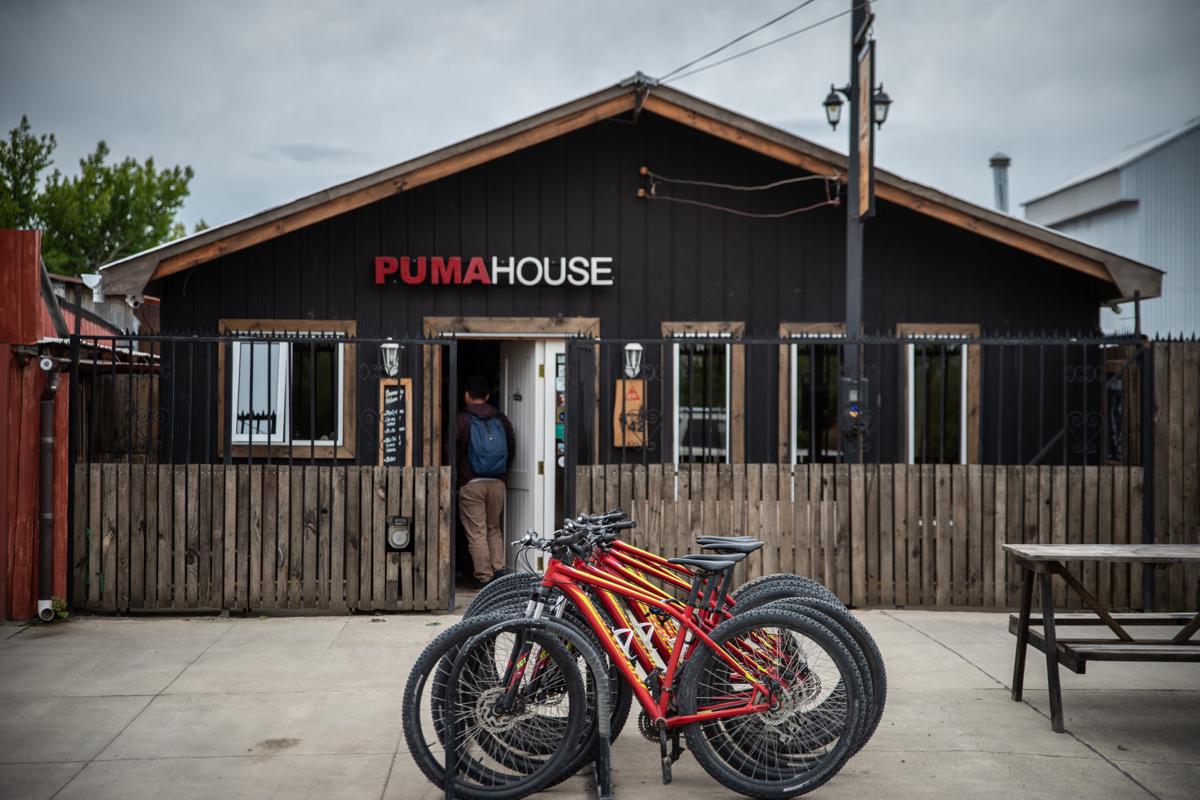 Puma House photo 2