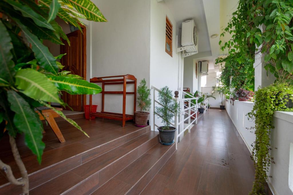Canggu Surf Hotel photo 4