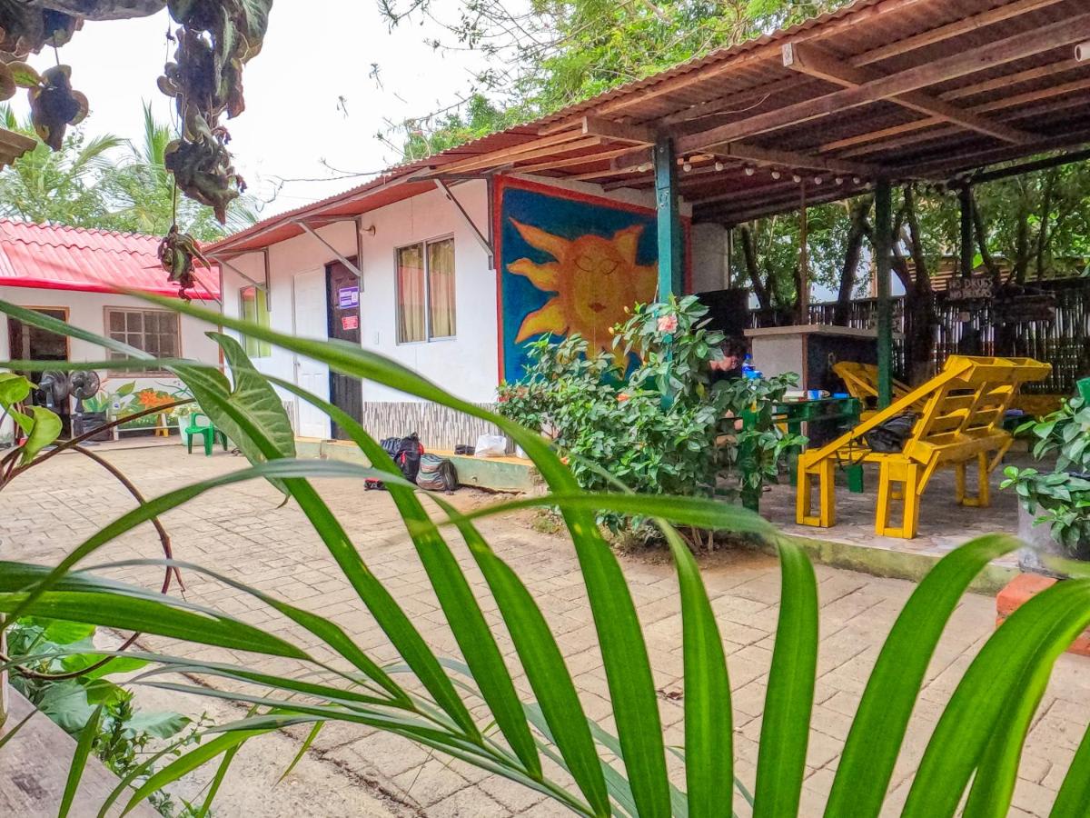 Palomino Hostel photo 1