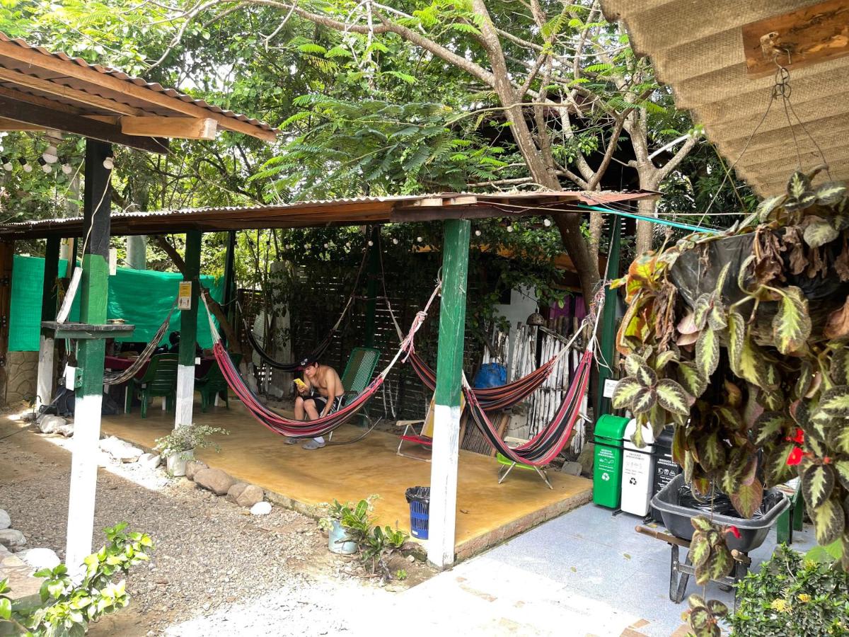 Palomino Hostel photo 3
