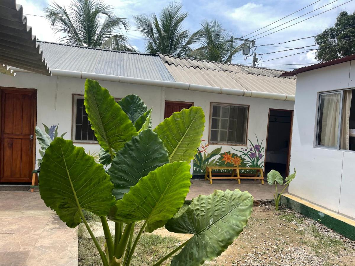 Palomino Hostel photo 4