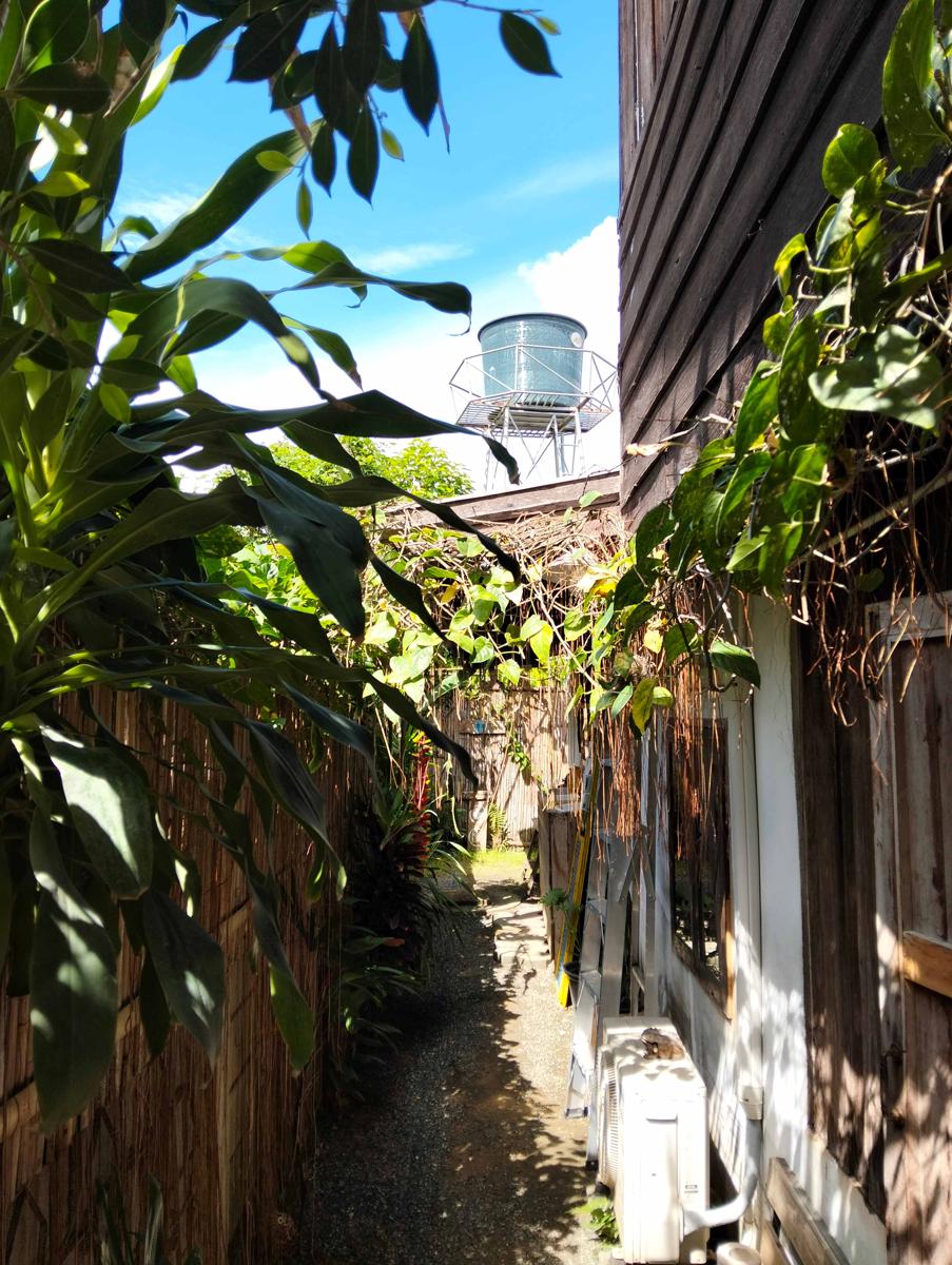 Imchai photo 2