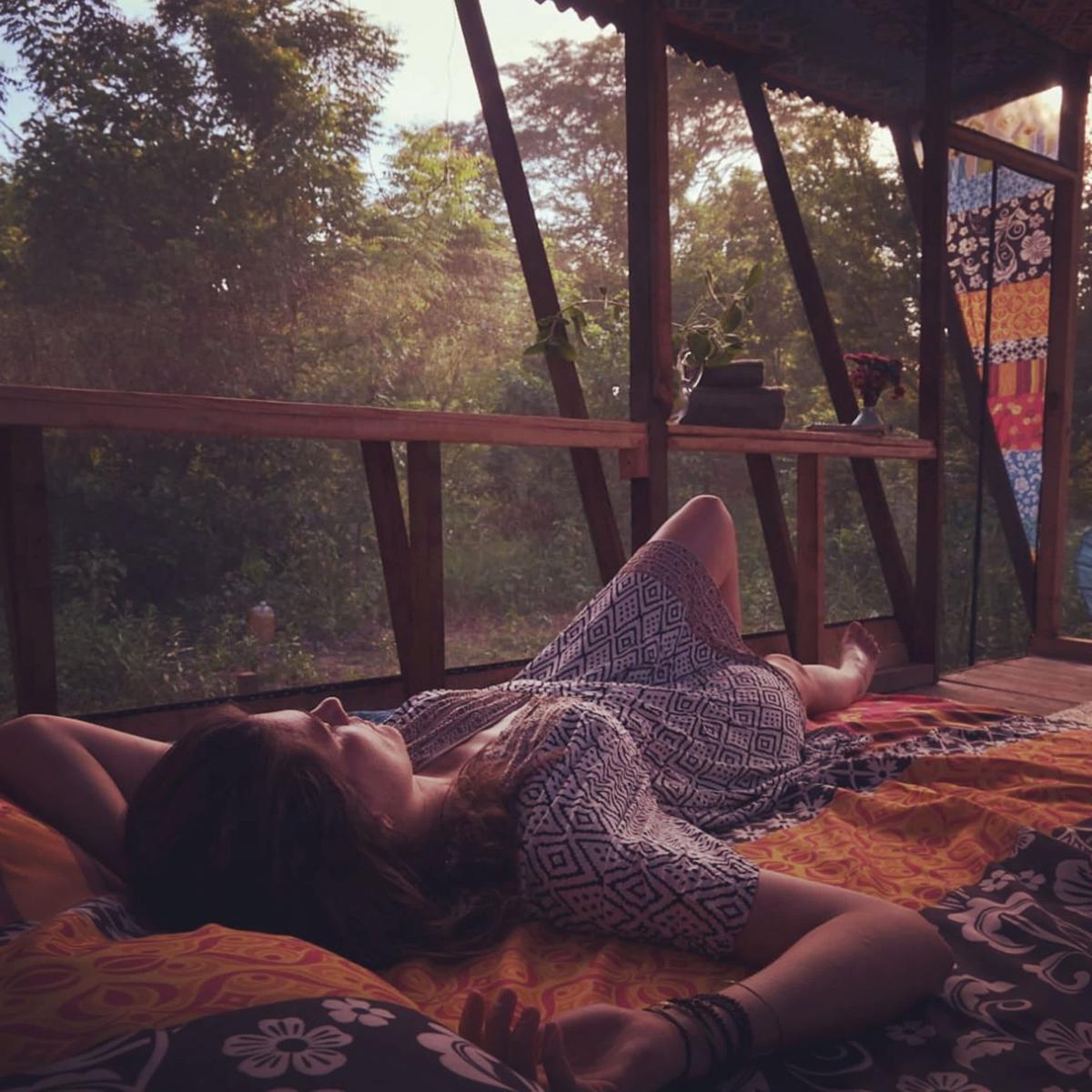 Planta Glamp photo 4