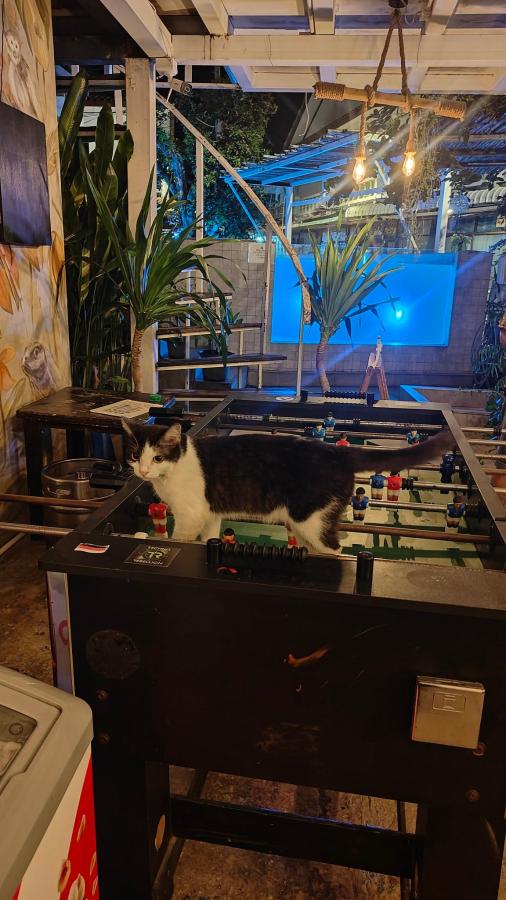 Lucky Crab Hostel photo 6