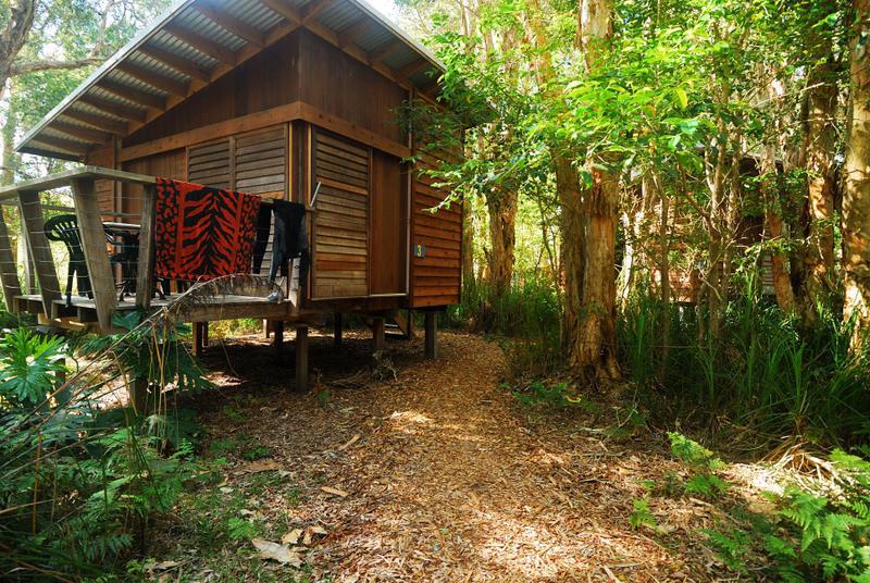 Melaleuca Surfside Backpackers photo 2