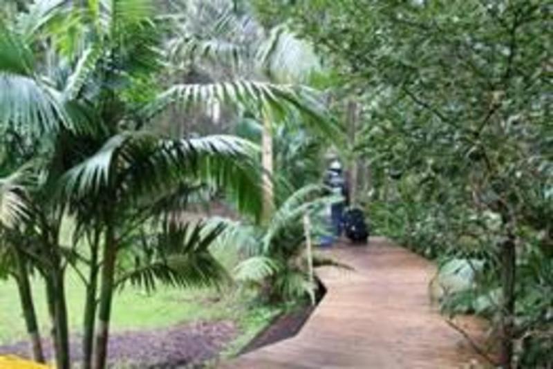 Melaleuca Surfside Backpackers photo 3