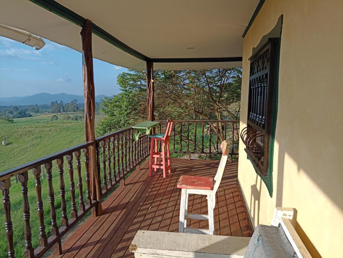 Nankirua photo 1