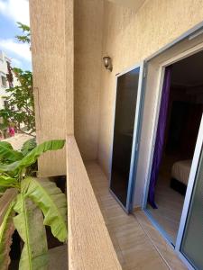 Papaya Hostel photo 3