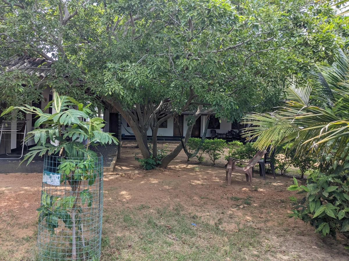 Shoy's Place photo 2