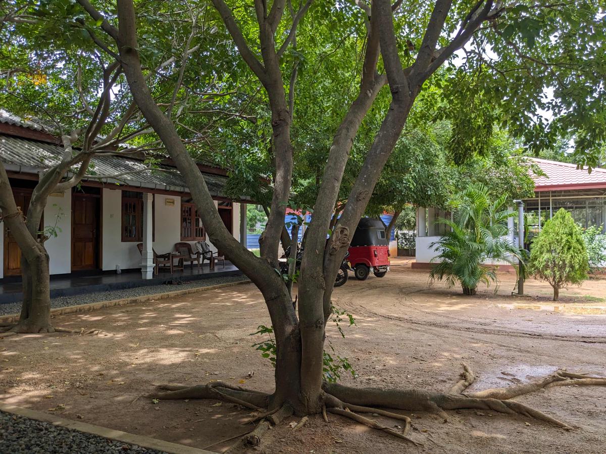 Shoy's Place photo 4