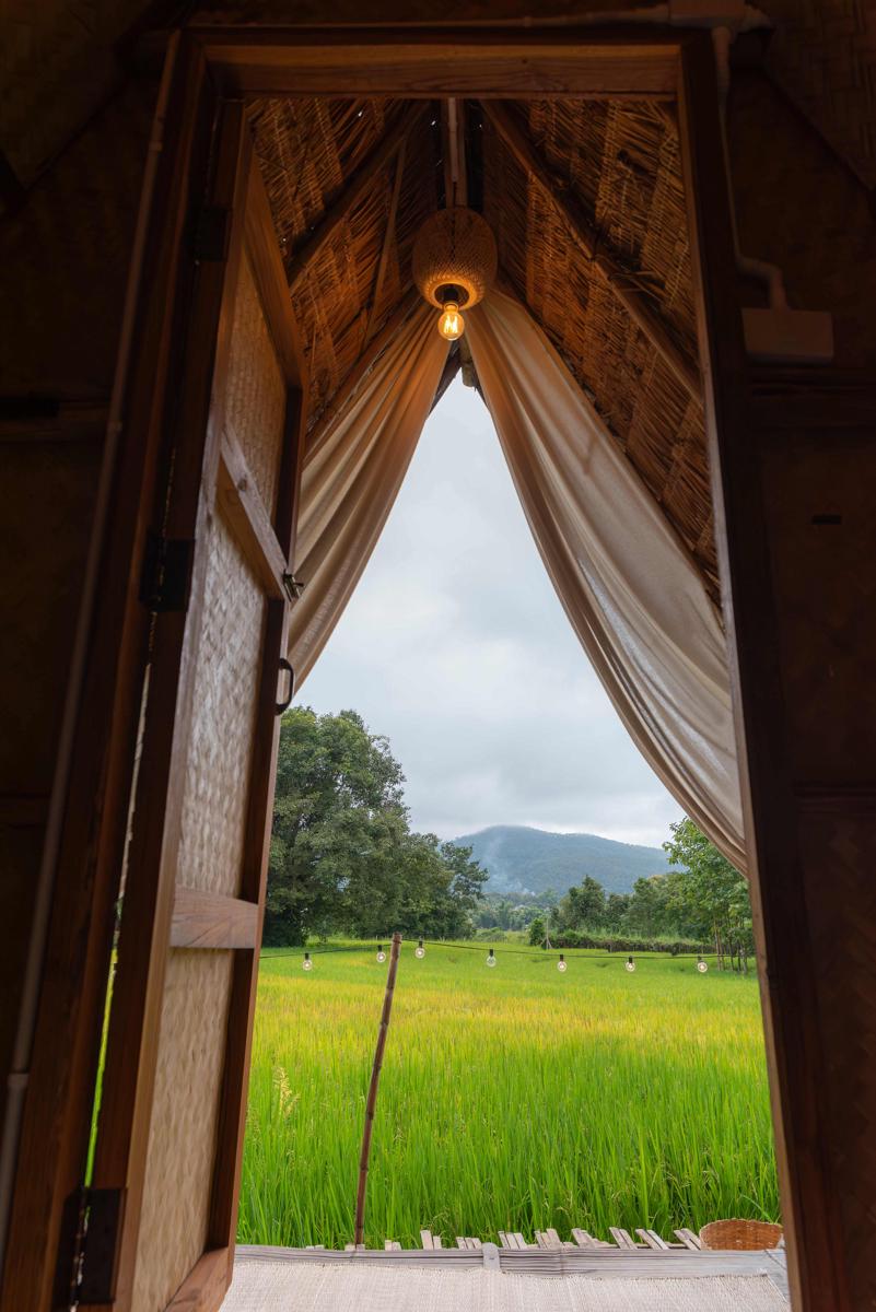 Paddy Fields Haven - Natures Nest photo 4