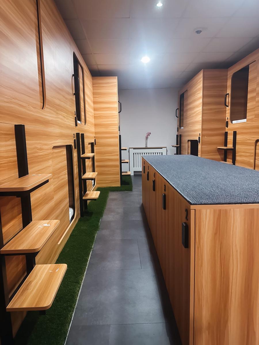 Central Hostel Lesce Bled photo 2
