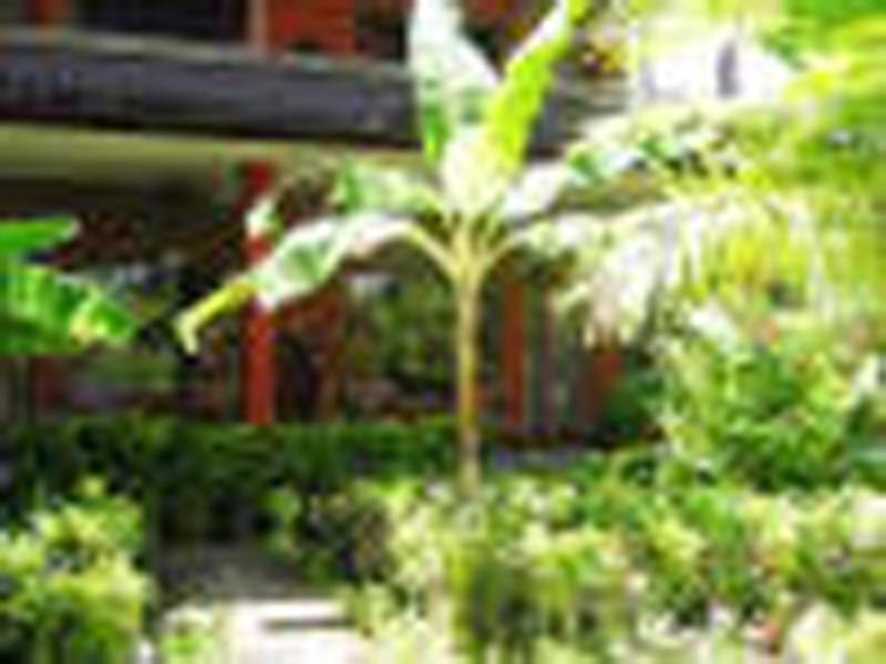Swastika Bungalows photo 2