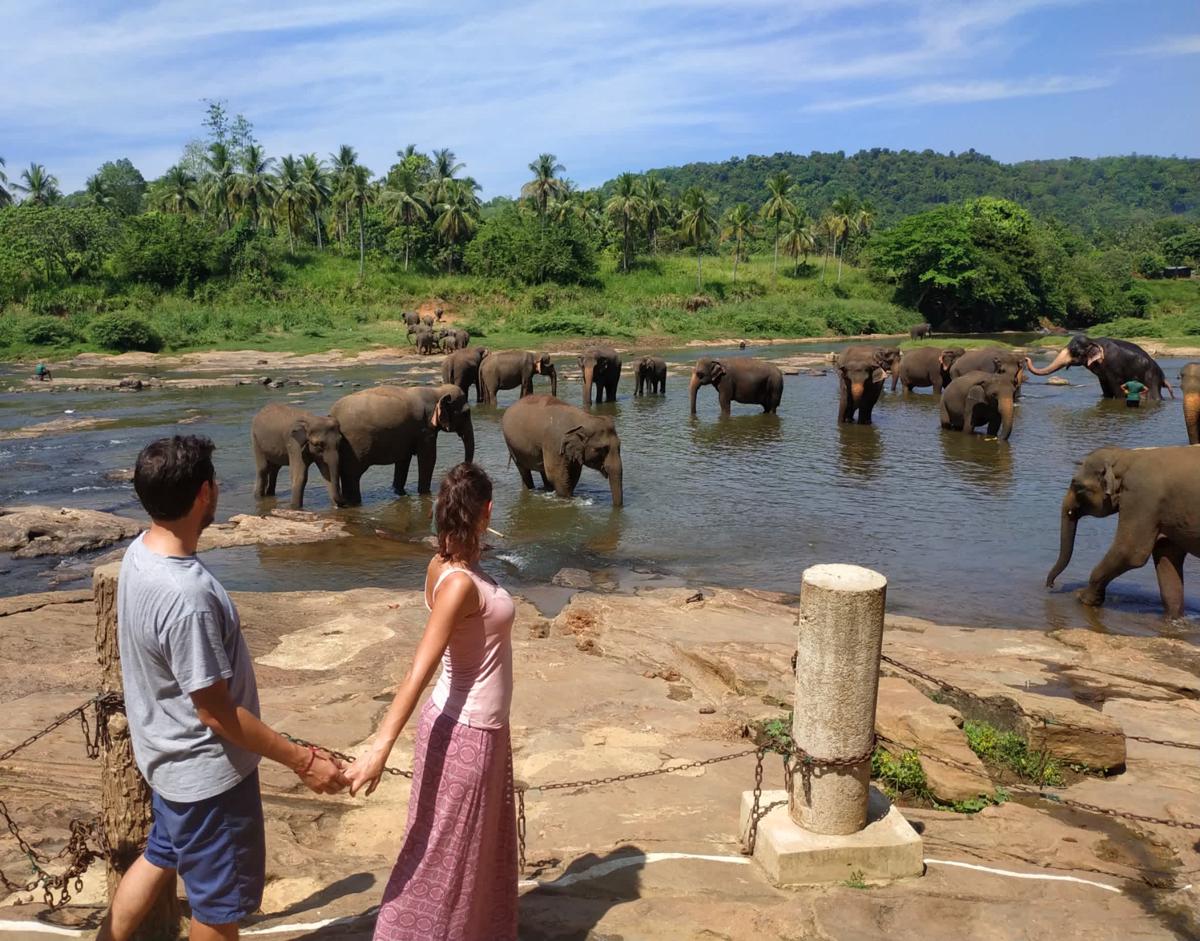 Hotel Elephant Park photo 1