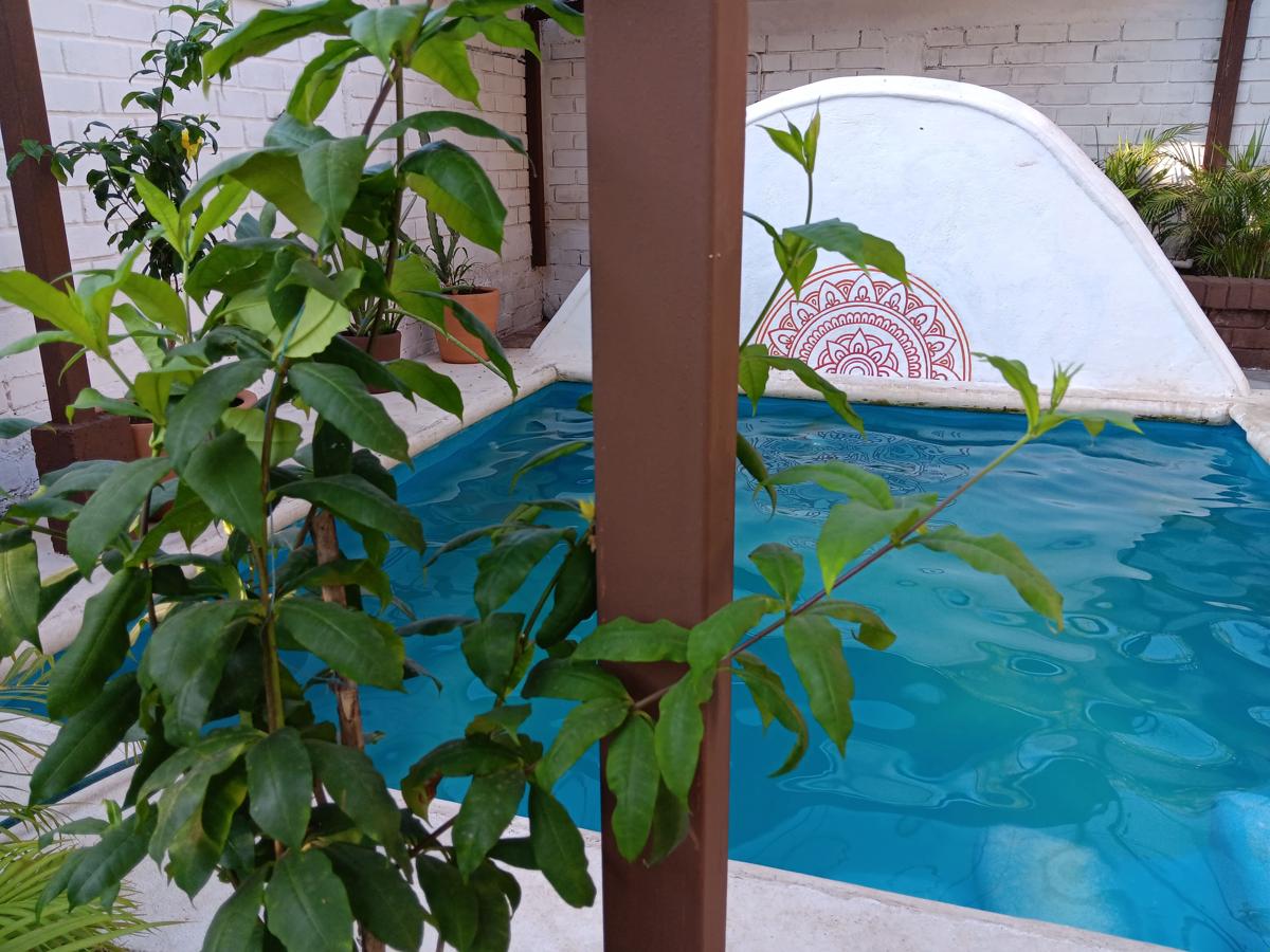 Casa Tzipora photo 3