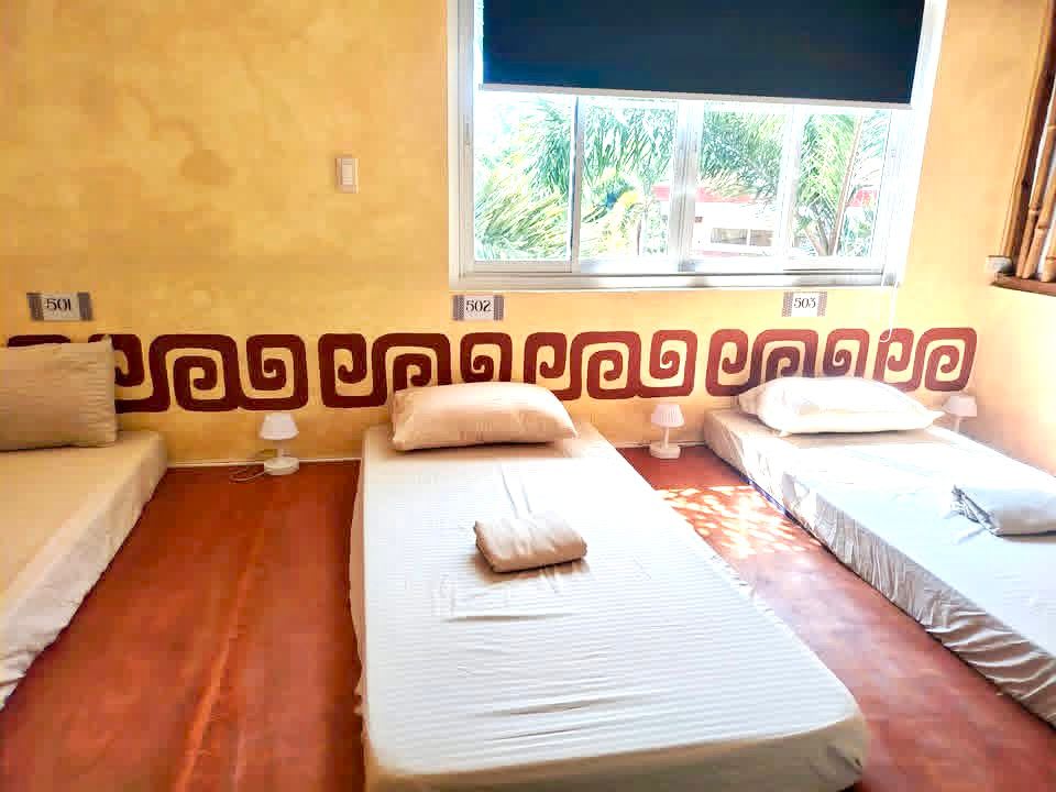 Palawan Co-Living & Co-Working Club photo 1