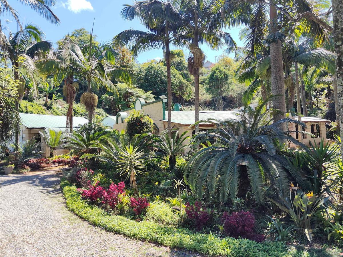 Garden of Eden Cottages and Guest House photo 1