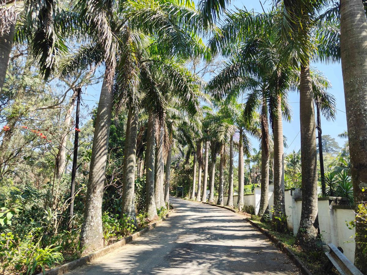 Garden of Eden Cottages and Guest House photo 2
