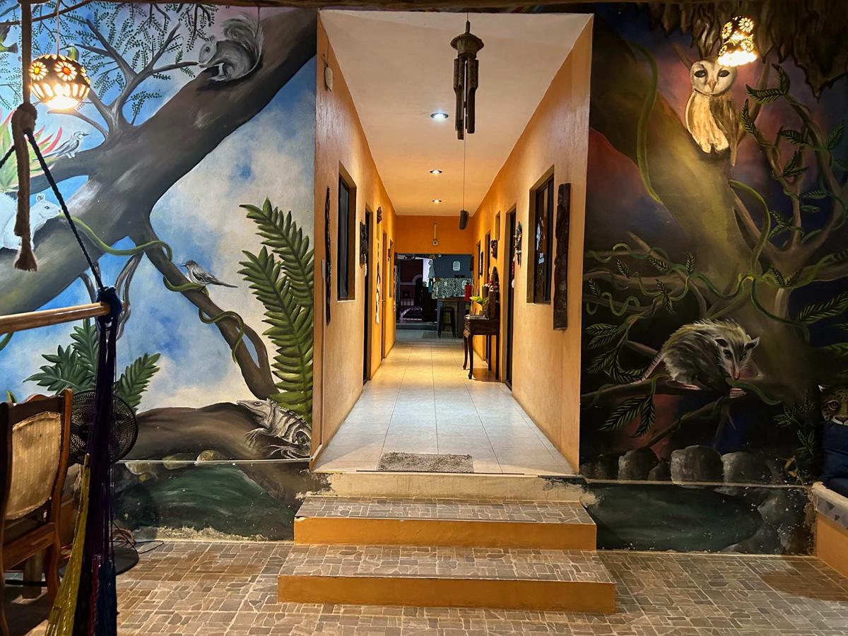 Casa Xtakay photo 3