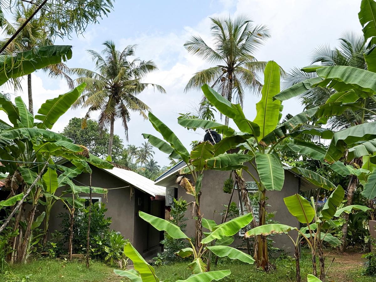K A Surf Hostel photo 3