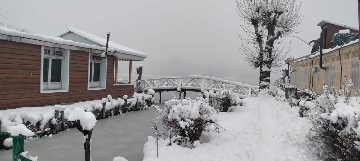 Queens Lake House photo 3