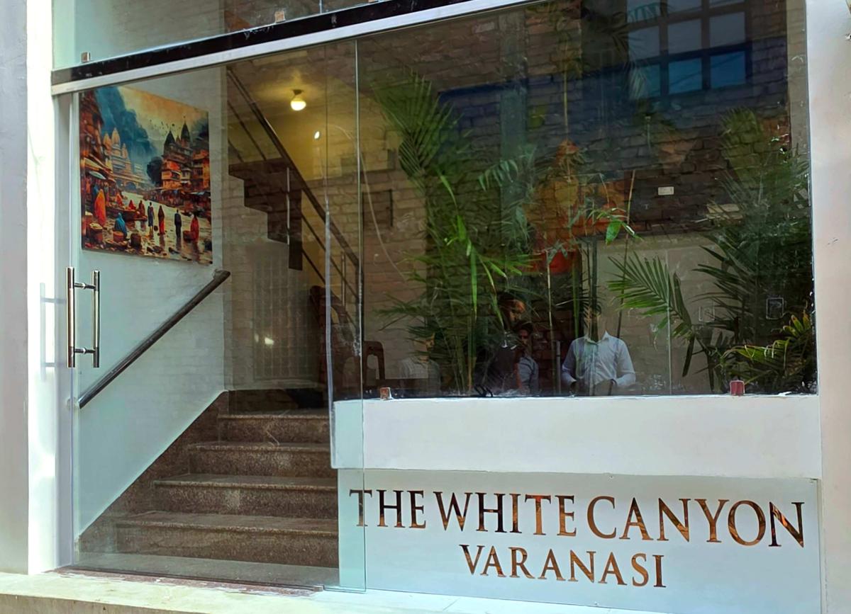 The White Canyon photo 1