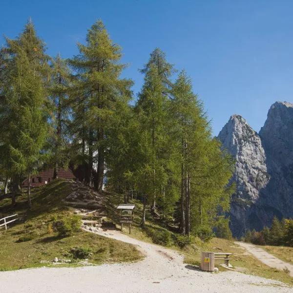 Erjavceva hut photo 5