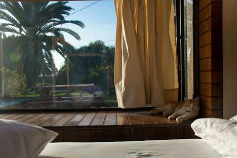 The Cool Hostel photo 6