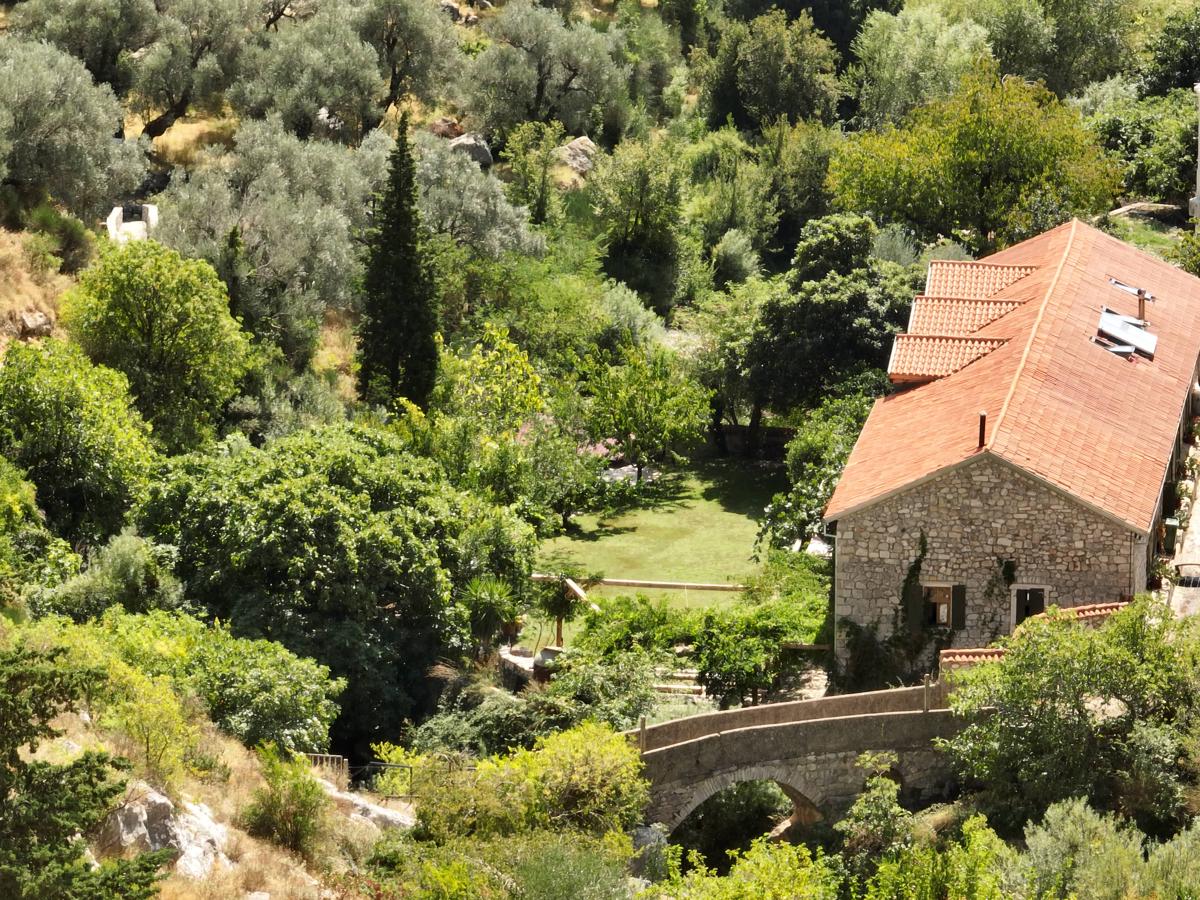The Grove Montenegro photo 2