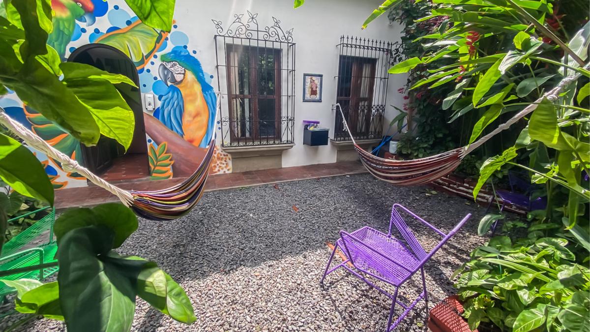 Tropicana Hostel photo 4