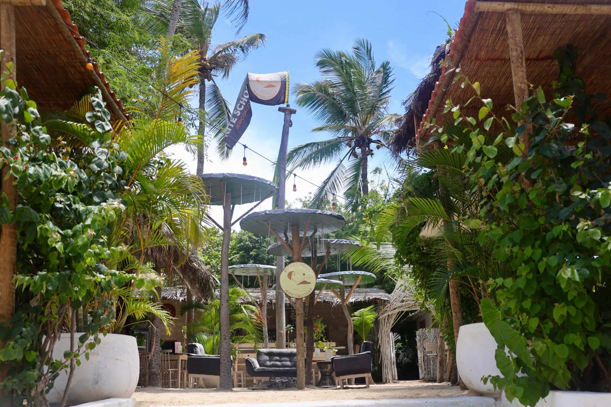 Treehouse Kitecamp Jericoacoara photo 1