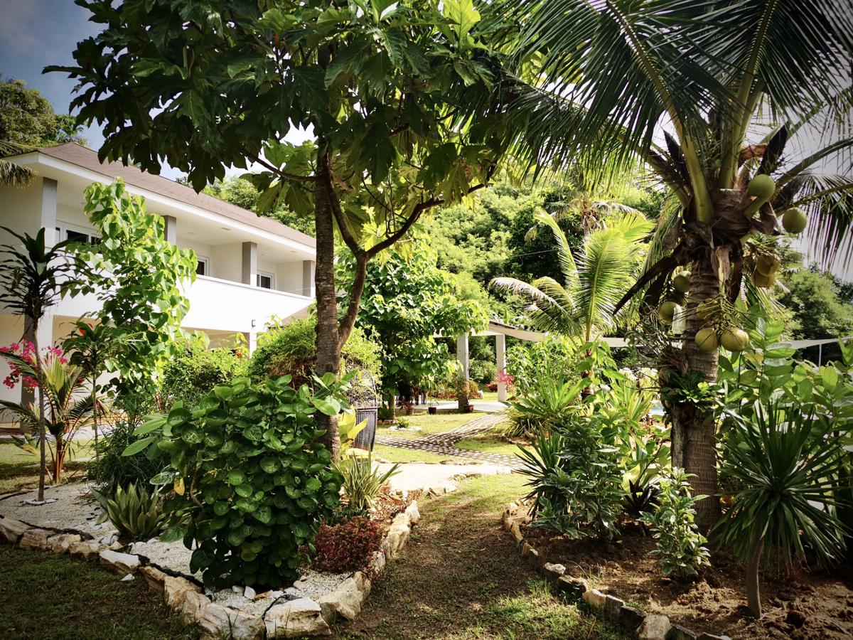 Sunset Cove Beach & Dive Resort photo 4