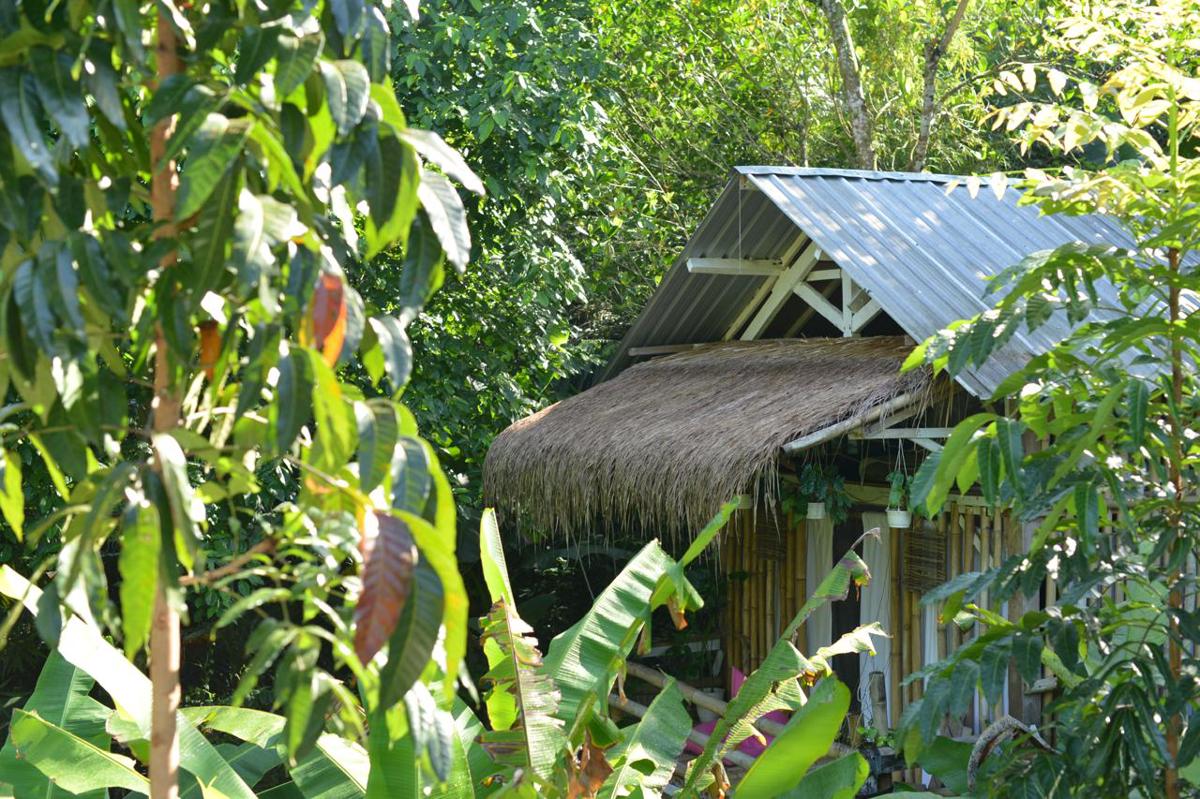 Hijau photo 3