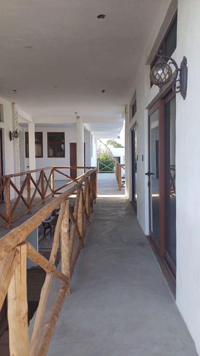 Mayan Surf Hotel photo 4