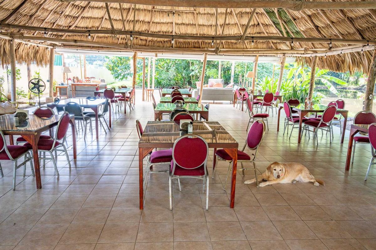 Drift Inn Cayo photo 4