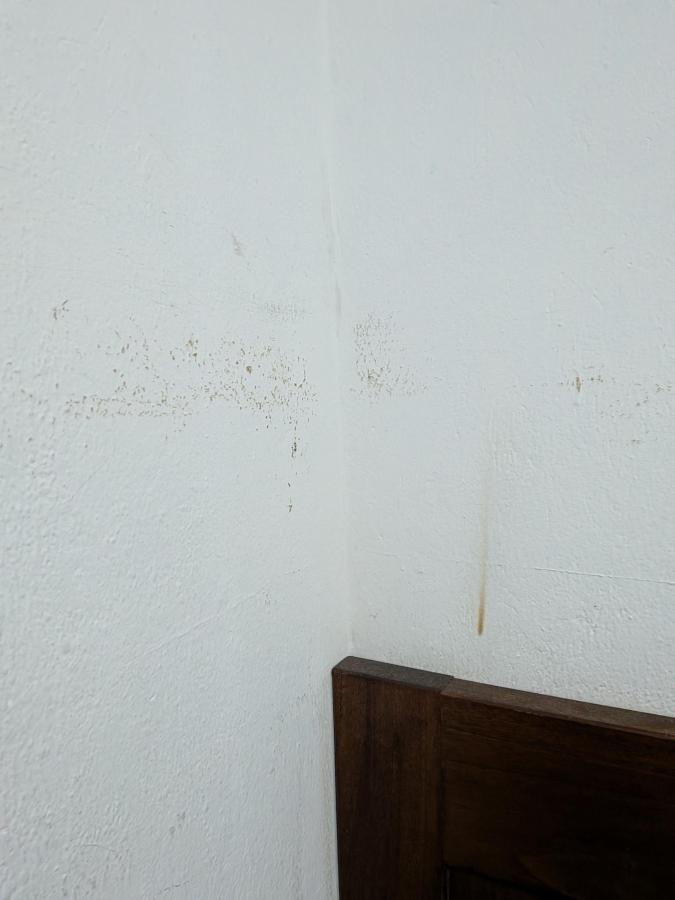 Villacandelaria Hostel photo 6