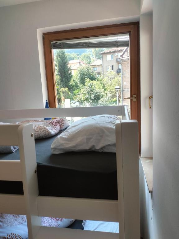 Exotic Nature Hostel photo 4