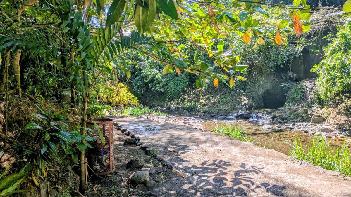 Kingston Reggae Garden photo 4