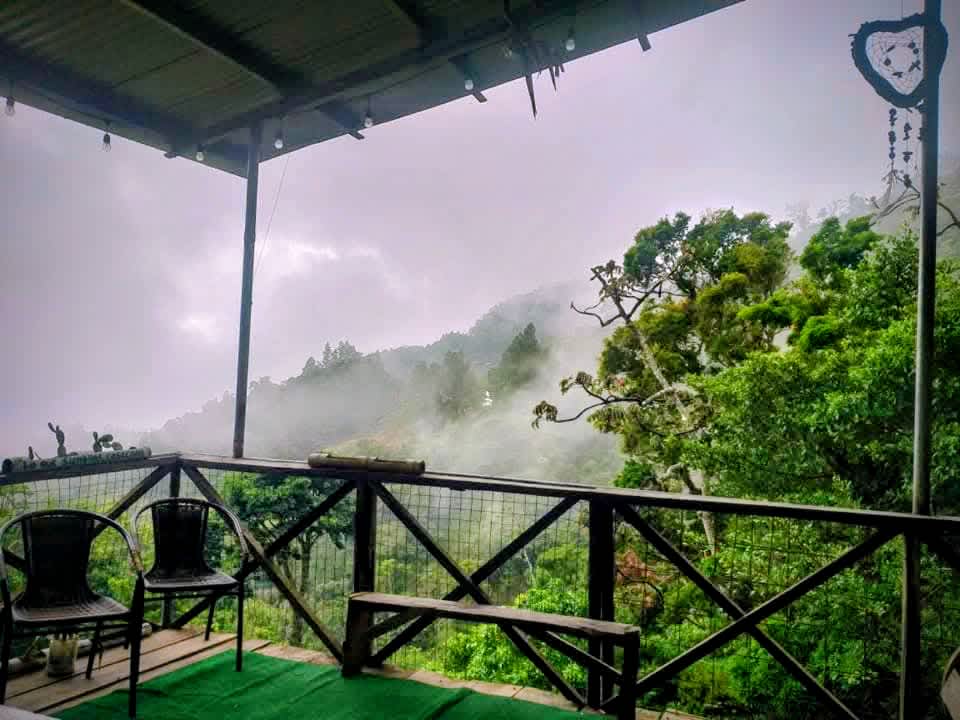 Roots Hostel photo 2