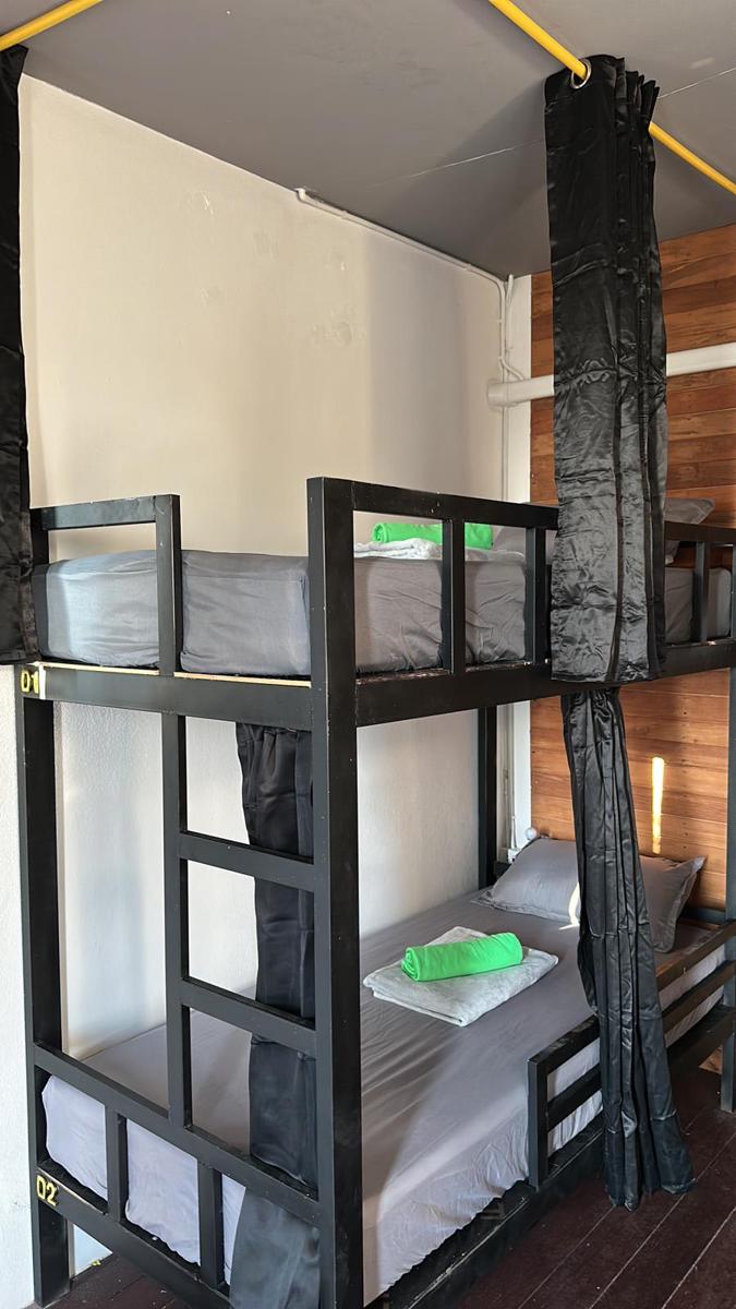Squanchy Elephant Hostel photo 4