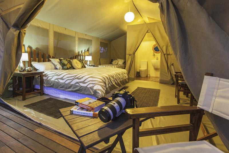 Wildebeest Eco Camp photo 1