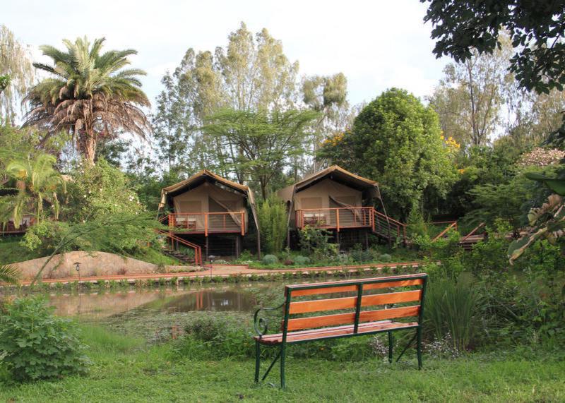 Wildebeest Eco Camp photo 2