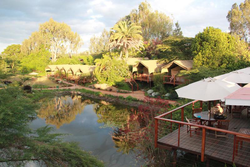 Wildebeest Eco Camp photo 4