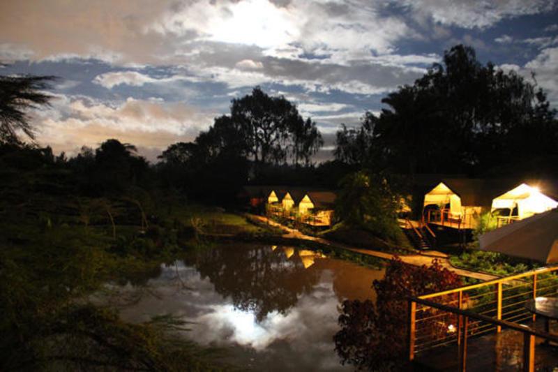 Wildebeest Eco Camp photo 5