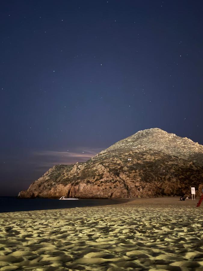 Mayan Monkey Los Cabos photo 6