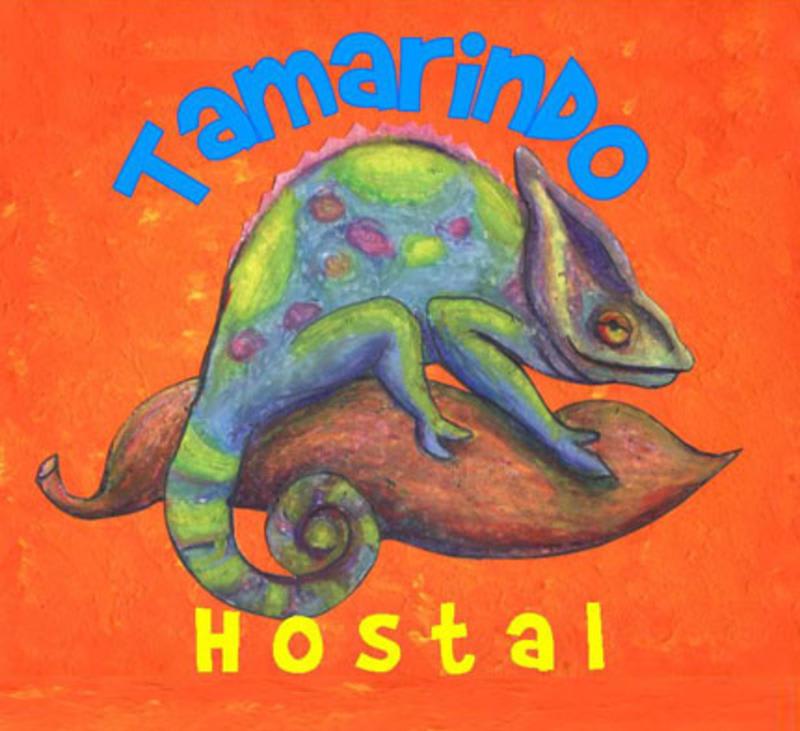 Tamarindo Hostel photo 2