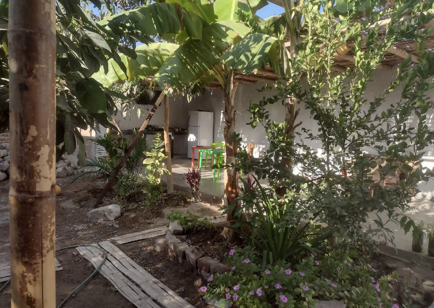 Flying Monkey Hostel photo 2