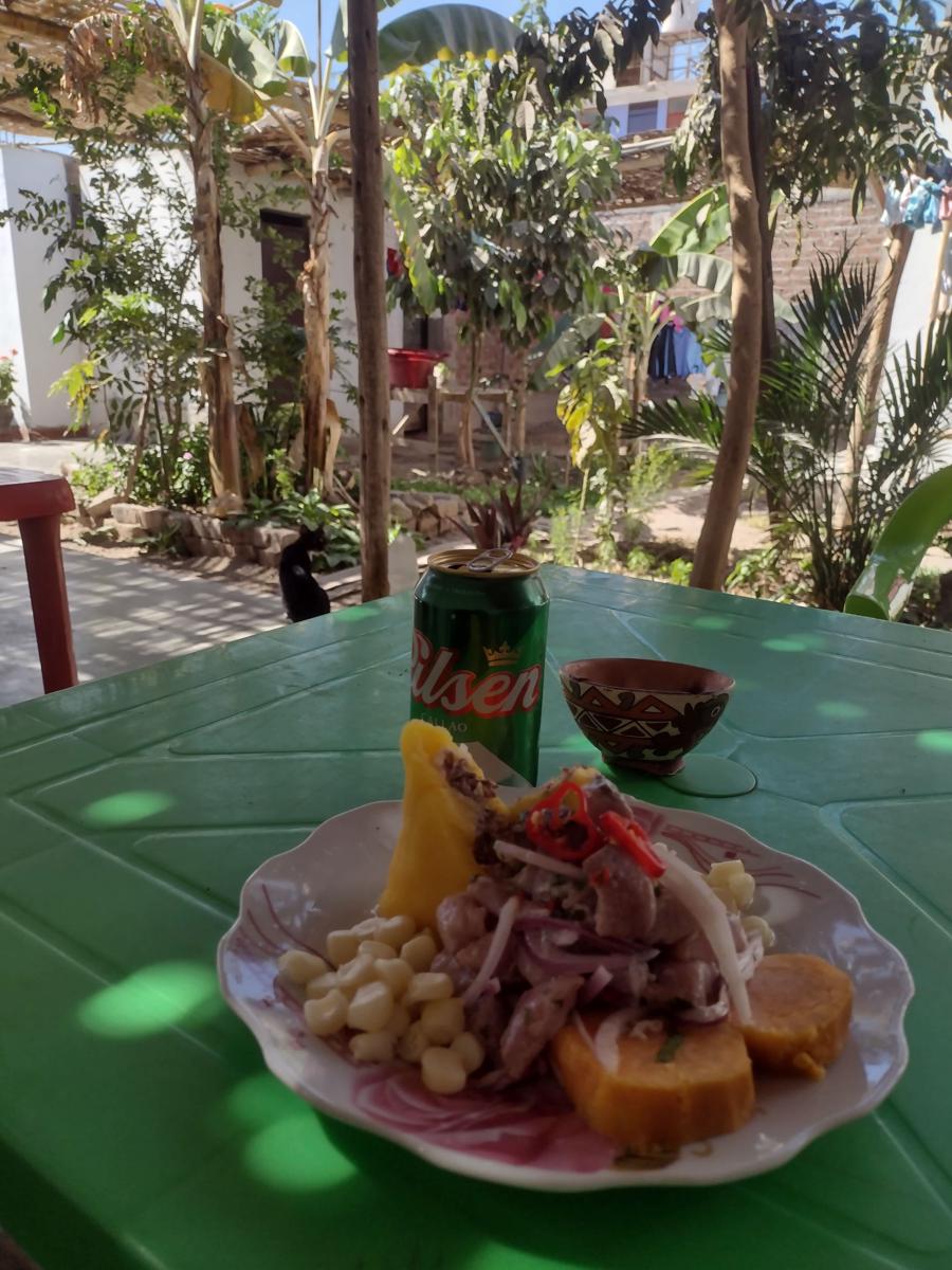 Flying Monkey Hostel photo 3