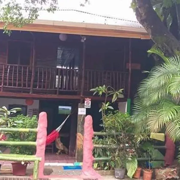 Downtown Montezuma Hostel photo 5