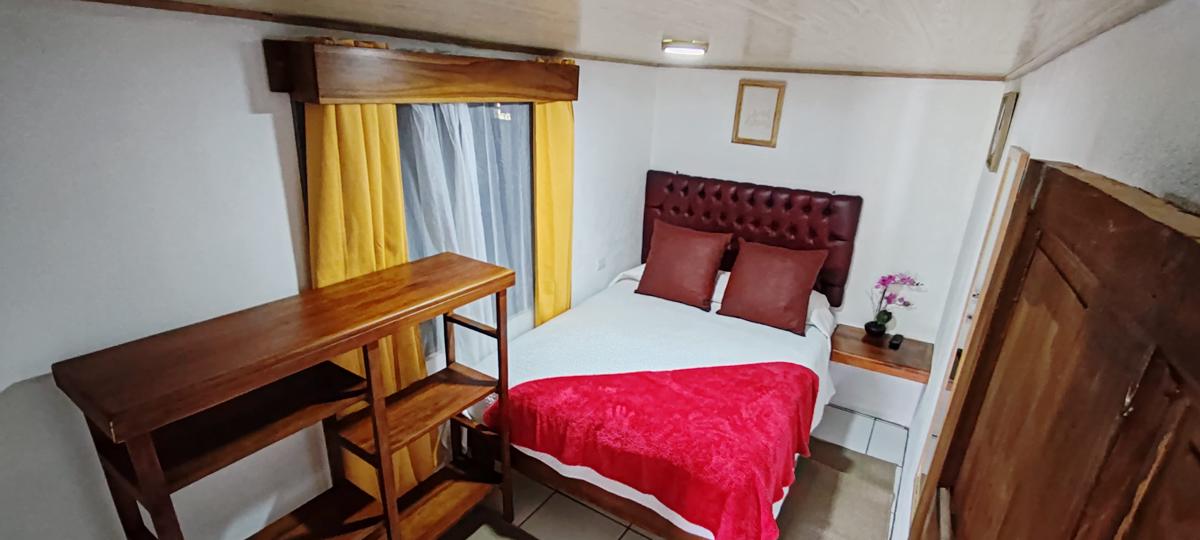 Sloth Backpackers Hostel and Bed & Breakfast photo 4